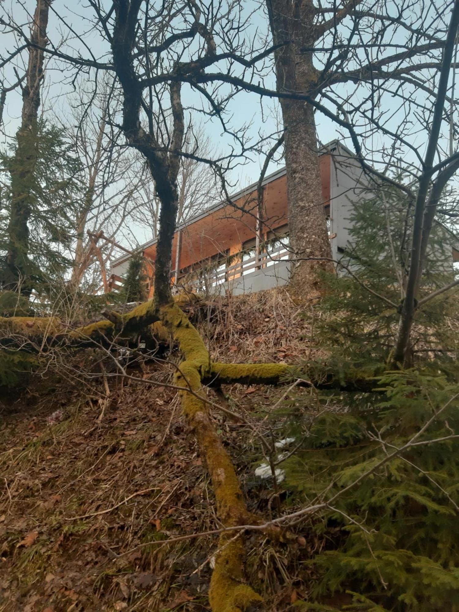 Oryavchik Country House 奥尔亚维奇克 客房 照片