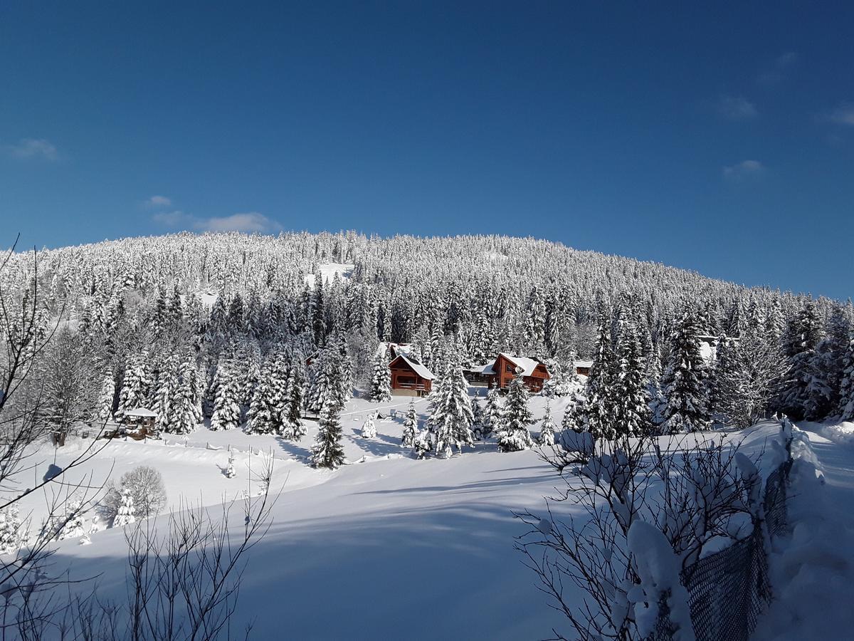 Oryavchik Country House 奥尔亚维奇克 外观 照片