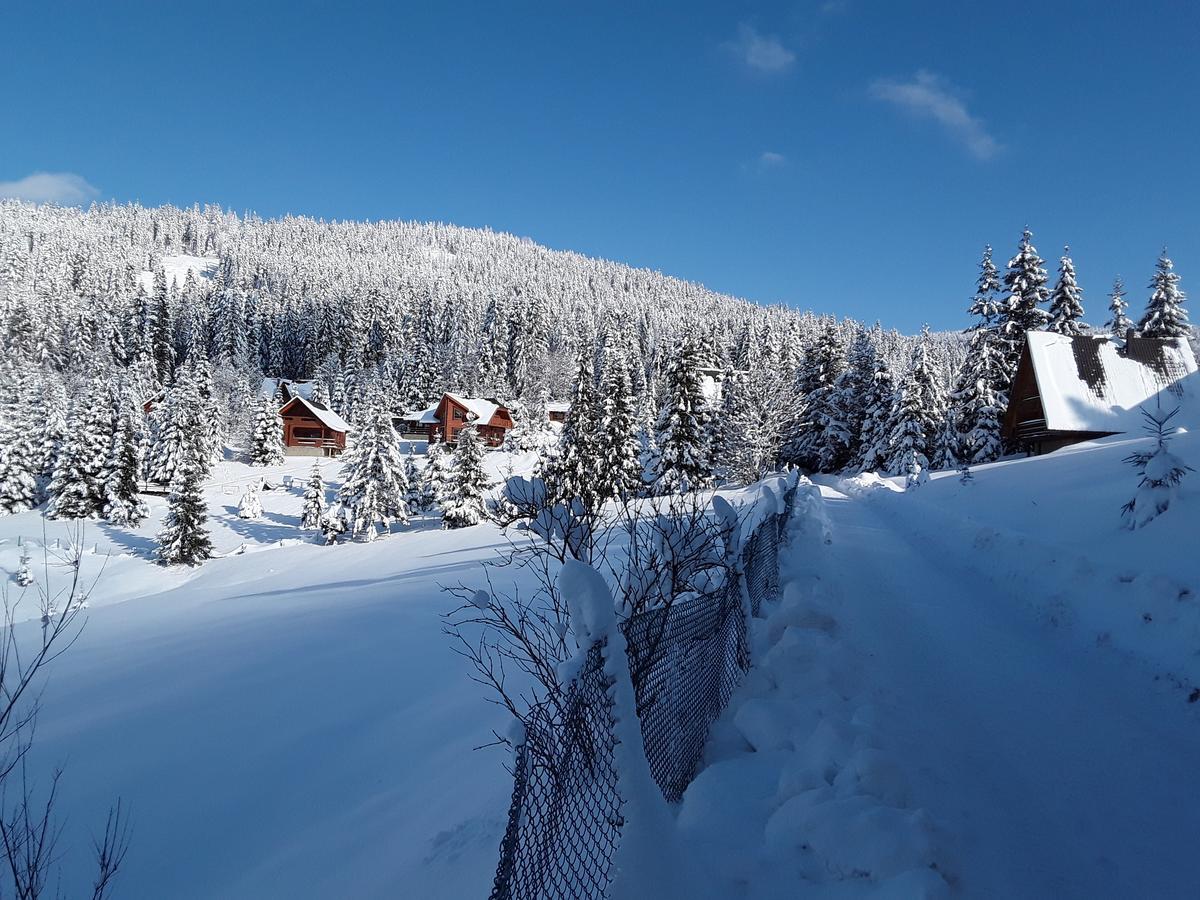 Oryavchik Country House 奥尔亚维奇克 外观 照片