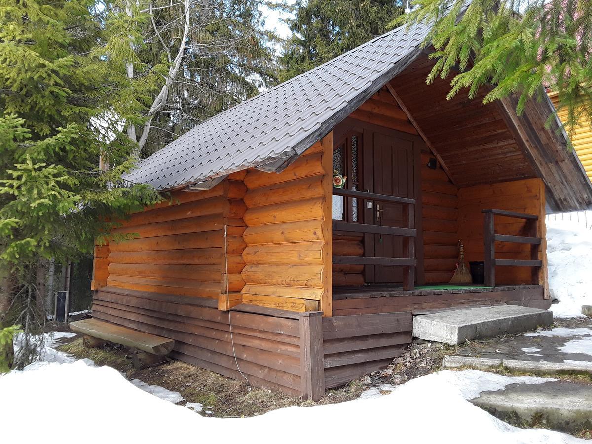 Oryavchik Country House 奥尔亚维奇克 外观 照片