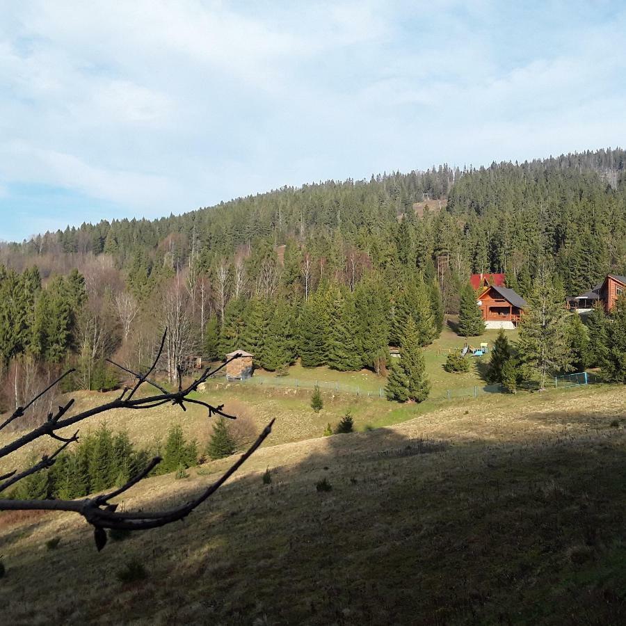 Oryavchik Country House 奥尔亚维奇克 外观 照片