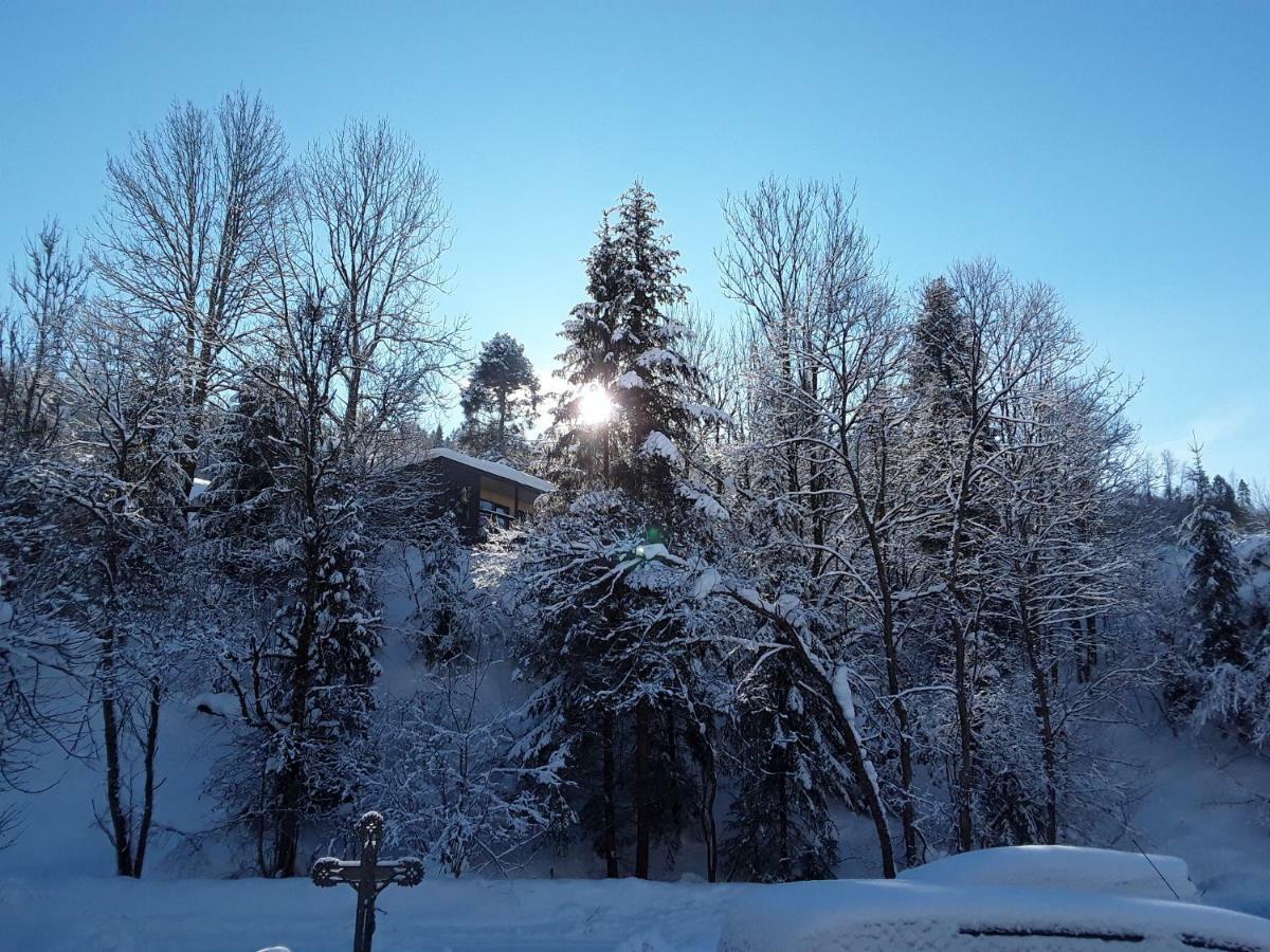 Oryavchik Country House 奥尔亚维奇克 外观 照片